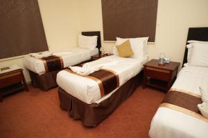 فندق لدان الفضي-Lidan Alfidy Hotel