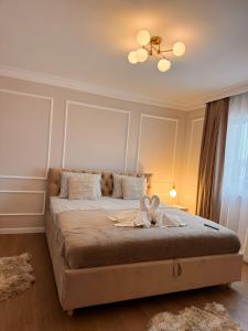 The Monarch Residential 6