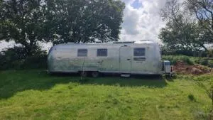 Bonnie the airstream - Country Retreat - Stanningfield