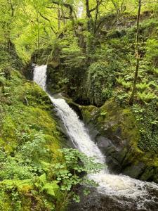 The Retreat - 2 bed cottage in Aberdovey