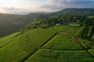 Bloom Homestead Apartment, Summerveld