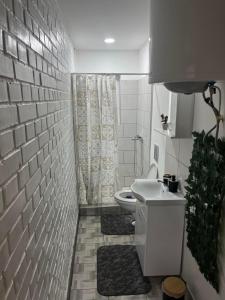 Royal castle Fruska gora