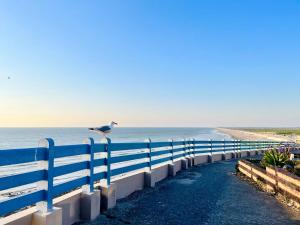 Appartements Vue sur Mer - app cosy a Ault : photos des chambres