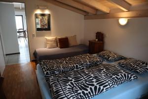 Bright studio with panoramic view of Valle Verzasc