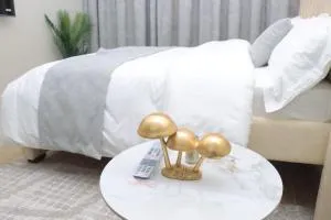 Taurus Residence Syokimau- Studio Apartment near JKIA, SGR, Expressway and Gateway Mall - Gatunga