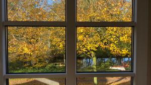 Kleines Grachtenhaus - Simmerdeis an der Gracht