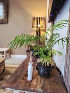 Appartements Boho Nest : photos des chambres