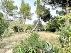 Maisons de vacances La Tour : photos des chambres