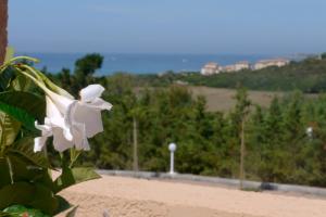 Villas Residence de Tourisme Mare e Macchia : photos des chambres