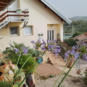 Lakeview Sunset Terrace