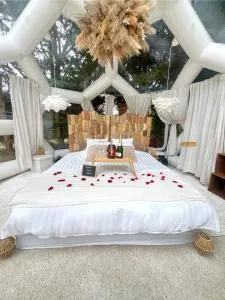 Le Dôme du Lac - Courcelles-Sapicourt