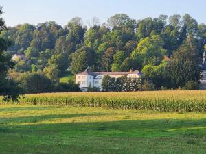 European House Of Yoga Light