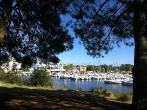 Le bois Flotée Cottage avec jardin, Lac 6 min, Océan plage 15 min