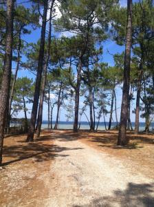 Maisons de vacances Le bois Flotee Cottage avec jardin, Lac 6 min, Ocean plage 15 min : photos des chambres