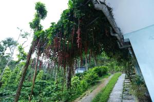 Coorg Sana Riverside