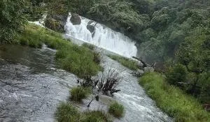 Bee Camp Tent Stay - Subrahmanya