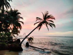sunsetlodge Mentawai