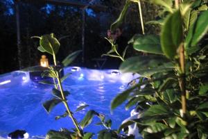 B&B / Chambres d'hotes Ecolodges en Provence : photos des chambres