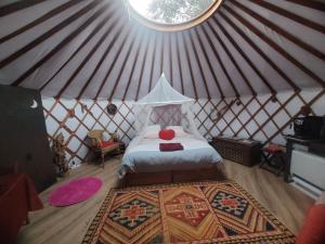 B&B / Chambres d'hotes Ecolodges en Provence : photos des chambres