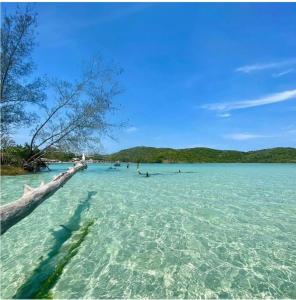 Apartamento Cabo Frio super aconchegante e familiar