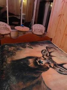 Puumajamajoitus maaseudulla - Siikainen