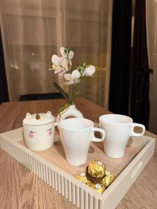 Appartements Appartement cosy a 10 minutes champs Elysee, Trocadero : photos des chambres