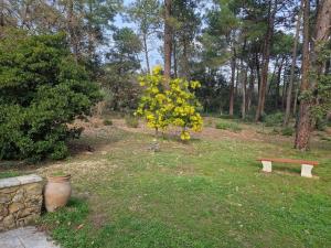 Appartements studio mornas : photos des chambres