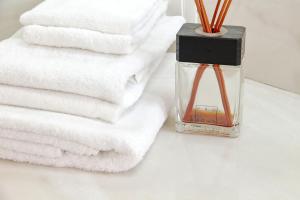 Vatican Basilica Apartment