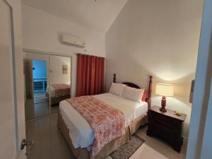 Charming Serene Penthouse with Pool & Gym New Kingston