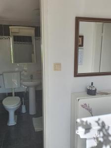 Studio Apartman Tena