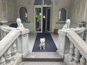 Private Party Villa - Nagytarcsa