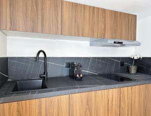 Stylish Duplex in Front of Buttes-Chaumont