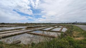 Charmante maison familiale au Pouliguen