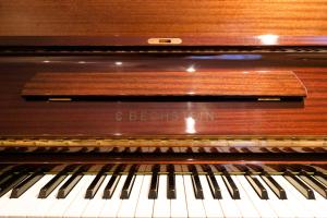 Maestros Vintage Apartment