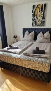 Gästehaus Zum Grafen - 格雷文布罗赫