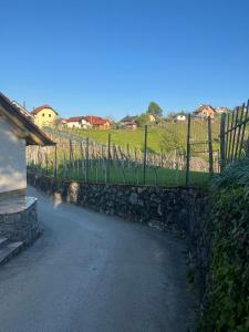 Apartma Zidanca Bele 