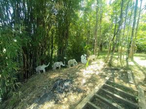 KeereeBanchorn FARMstay