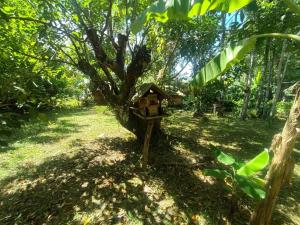 KeereeBanchorn FARMstay