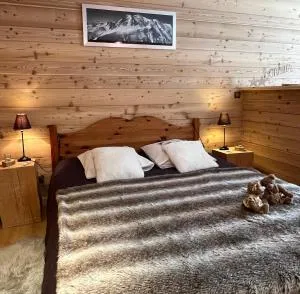 Appartement LAPRESKI 4 étoiles, ambiance chalet, Annecy, La Clusaz - 托讷