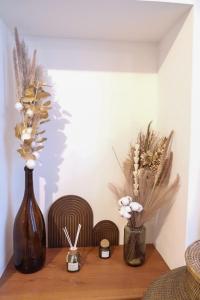 Grande Terrasse Hyper-Centre Quiet & Cozy for 2