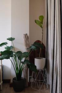 Appartements Grande Terrasse Hyper-Centre Quiet & Cozy for 2 : photos des chambres