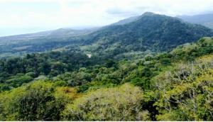 Lapazul Boutique Hotel