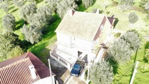 Casa dos Fetos Varanda Panorâmica & Natureza