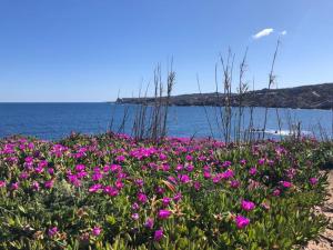 Relaxing Cristal Blu Studio M4 sleeps 4