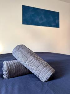 Appartements Cosy 4 - Montbeliard centre 80m2 : photos des chambres
