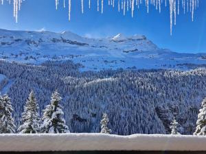 Appartement lumineux au centre de Flaine avec balcon - FR-1-425-184
