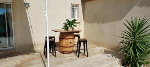 villa petite camargue
