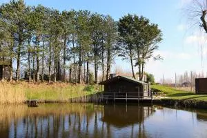The waterfront & birds nest - Evergem