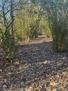 Cozy Newly Renovated Apartment