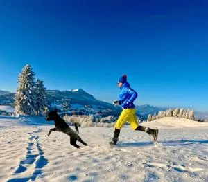 Elchegg - Chalet & Panorama-Loft - 韦尔塔赫